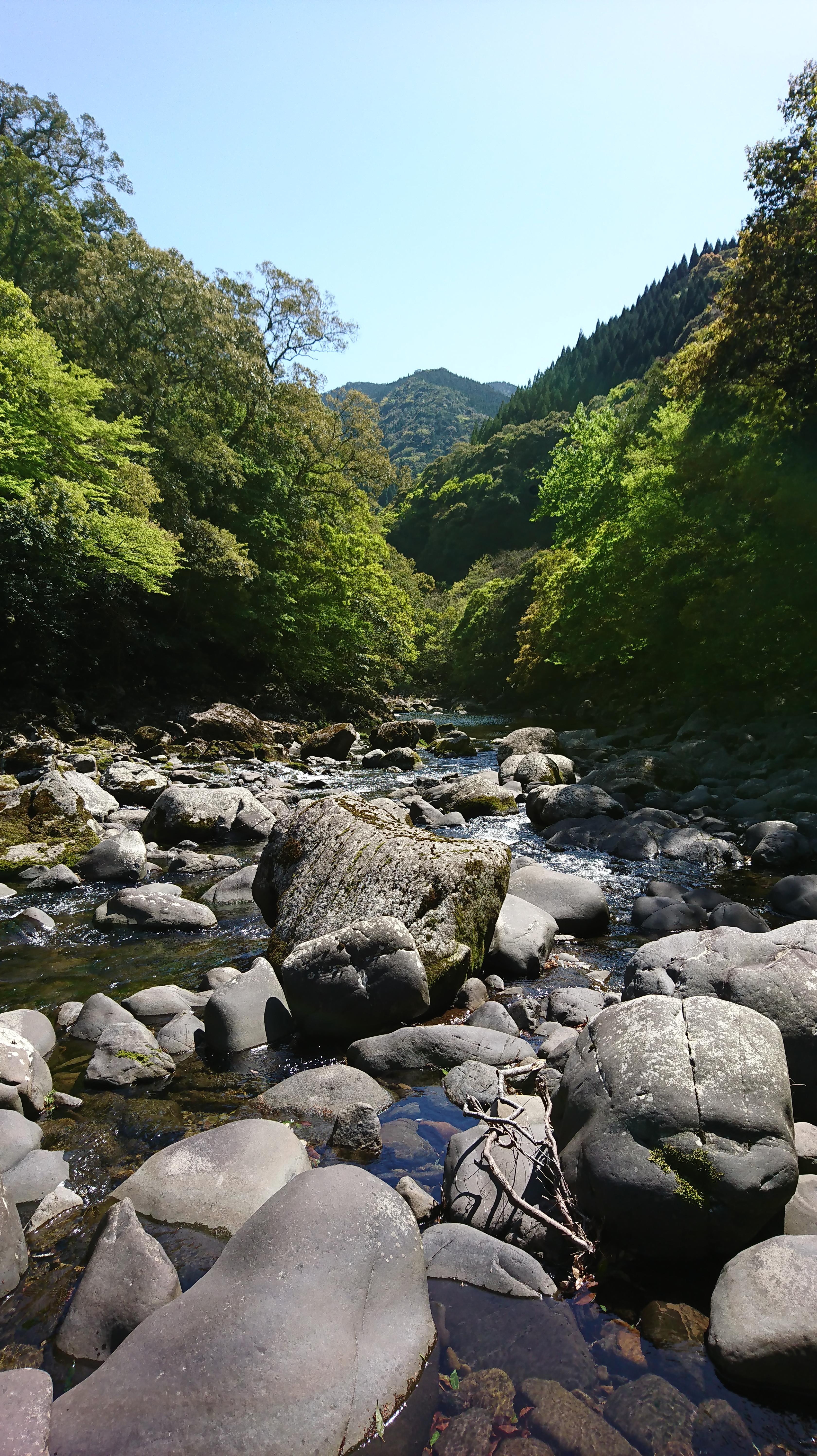 宮崎県東諸県郡綾町の川中キャンプ場は すごくオススメ 森林に川 きゆんdiyブログ