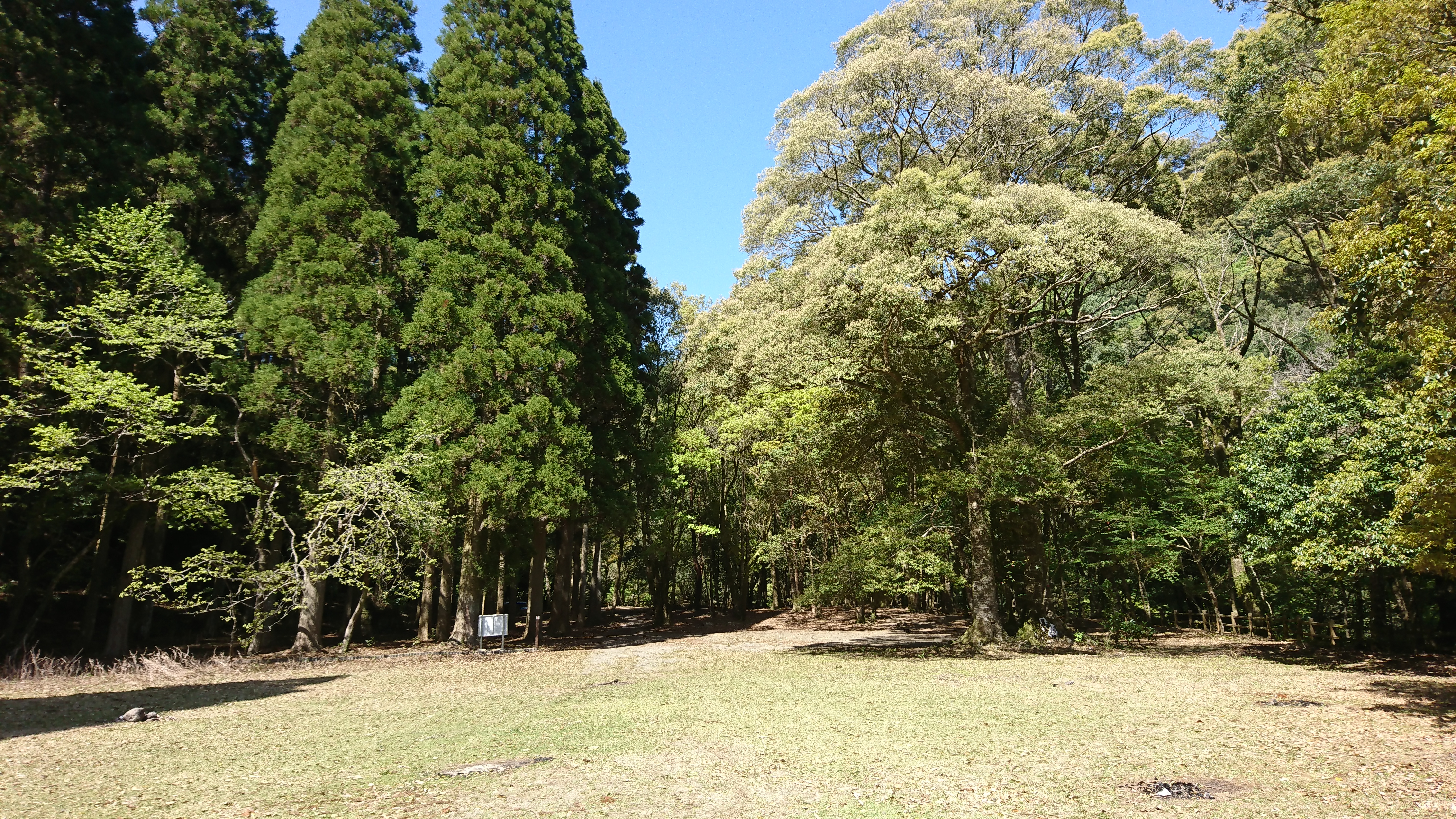 宮崎県東諸県郡綾町の川中キャンプ場は すごくオススメ 森林に川 きゆんdiyブログ