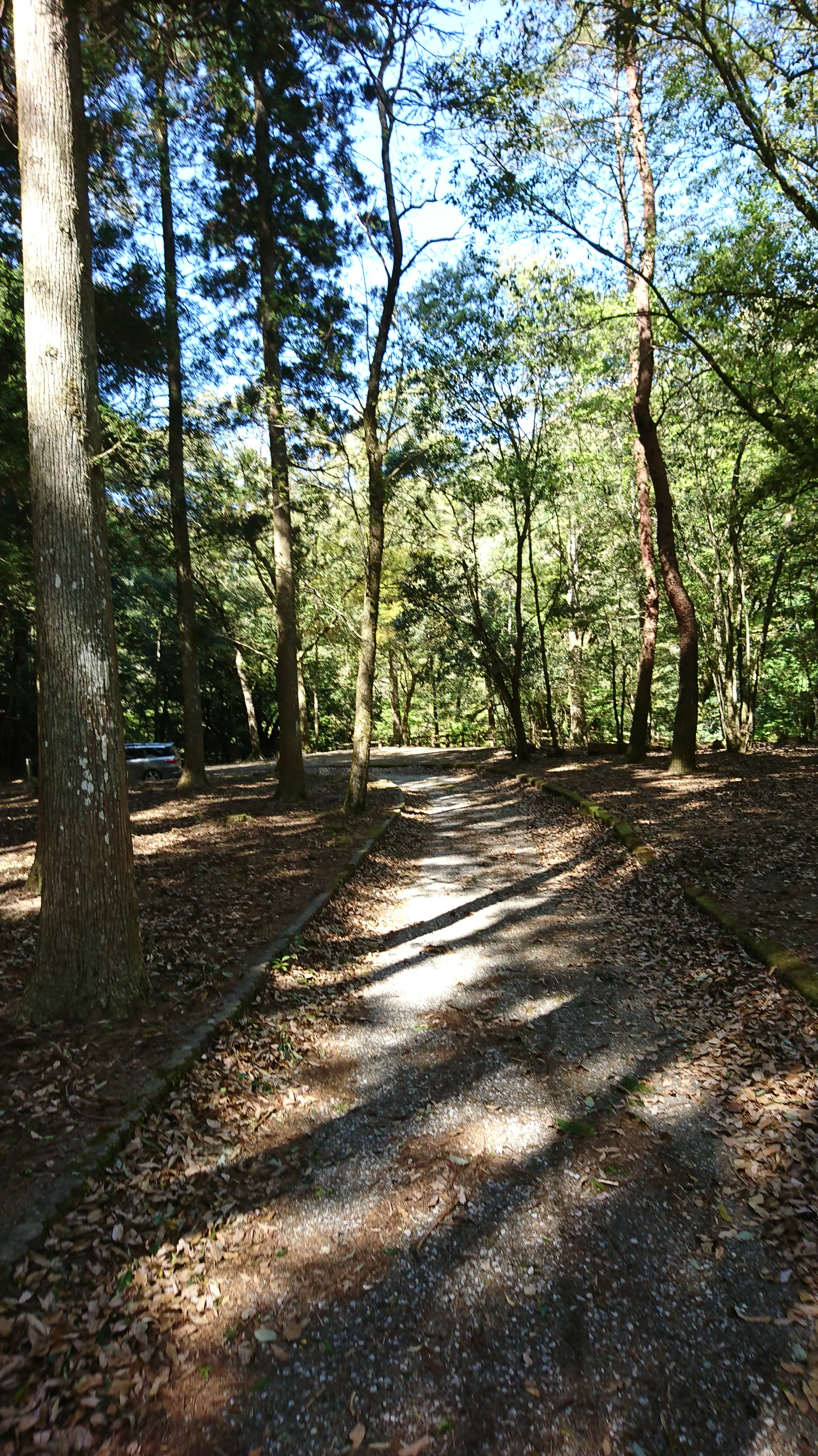 宮崎県東諸県郡綾町の川中キャンプ場は すごくオススメ 森林に川 きゆんdiyブログ