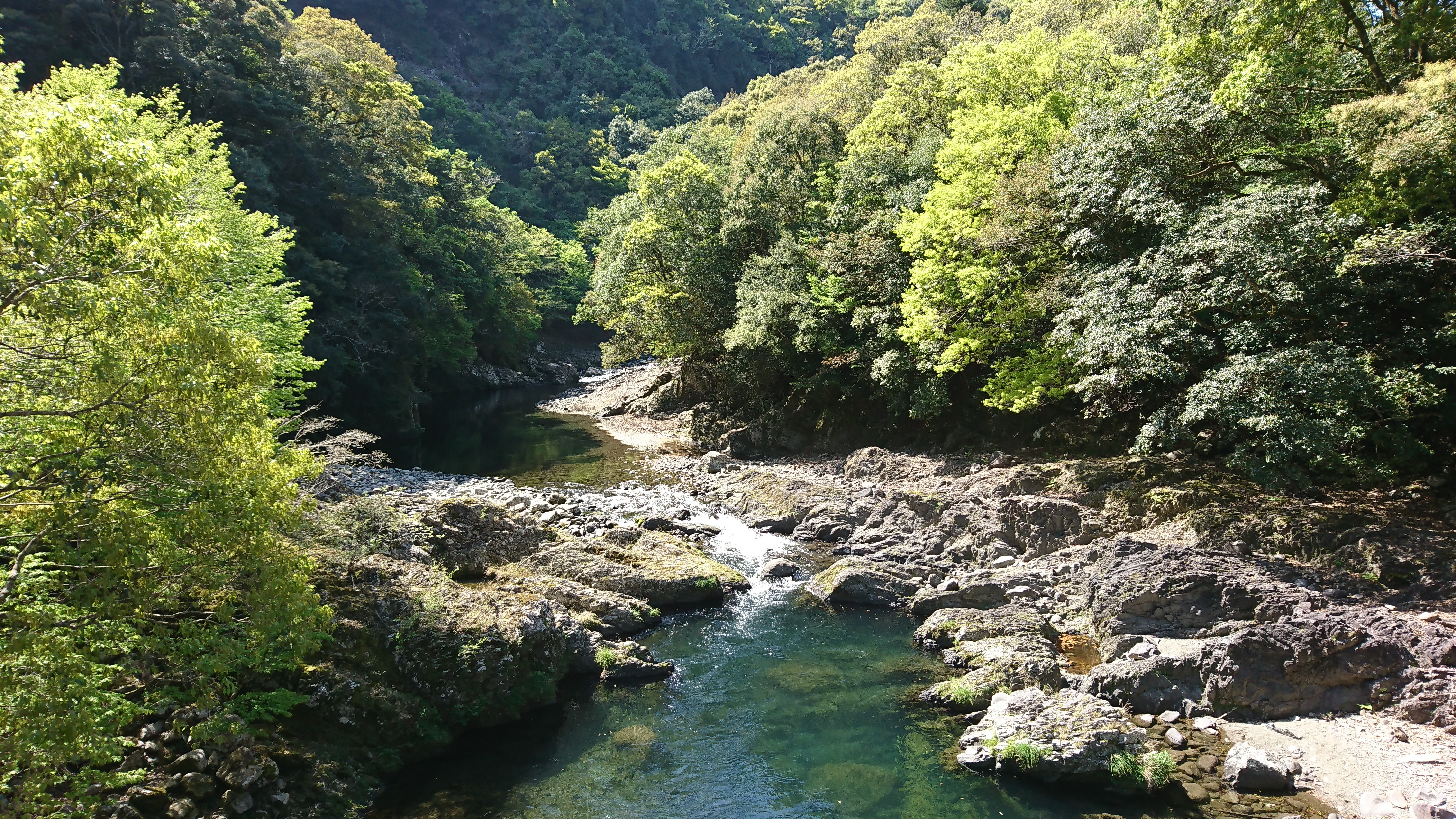 宮崎県東諸県郡綾町の川中キャンプ場は すごくオススメ 森林に川 きゆんdiyブログ