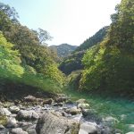 宮崎県東諸県郡綾町の川中キャンプ場は、すごくオススメ。森林に川。