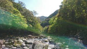 宮崎県東諸県郡綾町の川中キャンプ場は、すごくオススメ。森林に川。